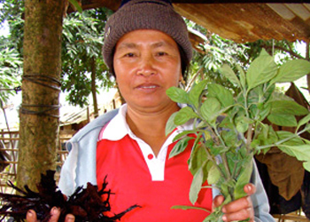 Laos Artists