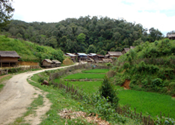 Laos Artists