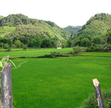 Laos Artists